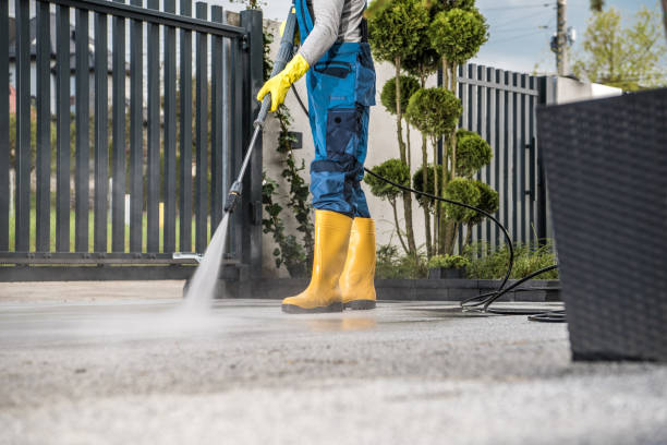 Animal Enclosure Cleaning in Milton, WV